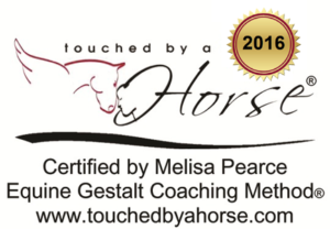 Equine Gestalt Coaching Method Certified